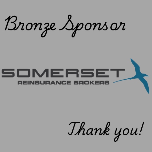 Bronze Sponsor Somerset Brokers