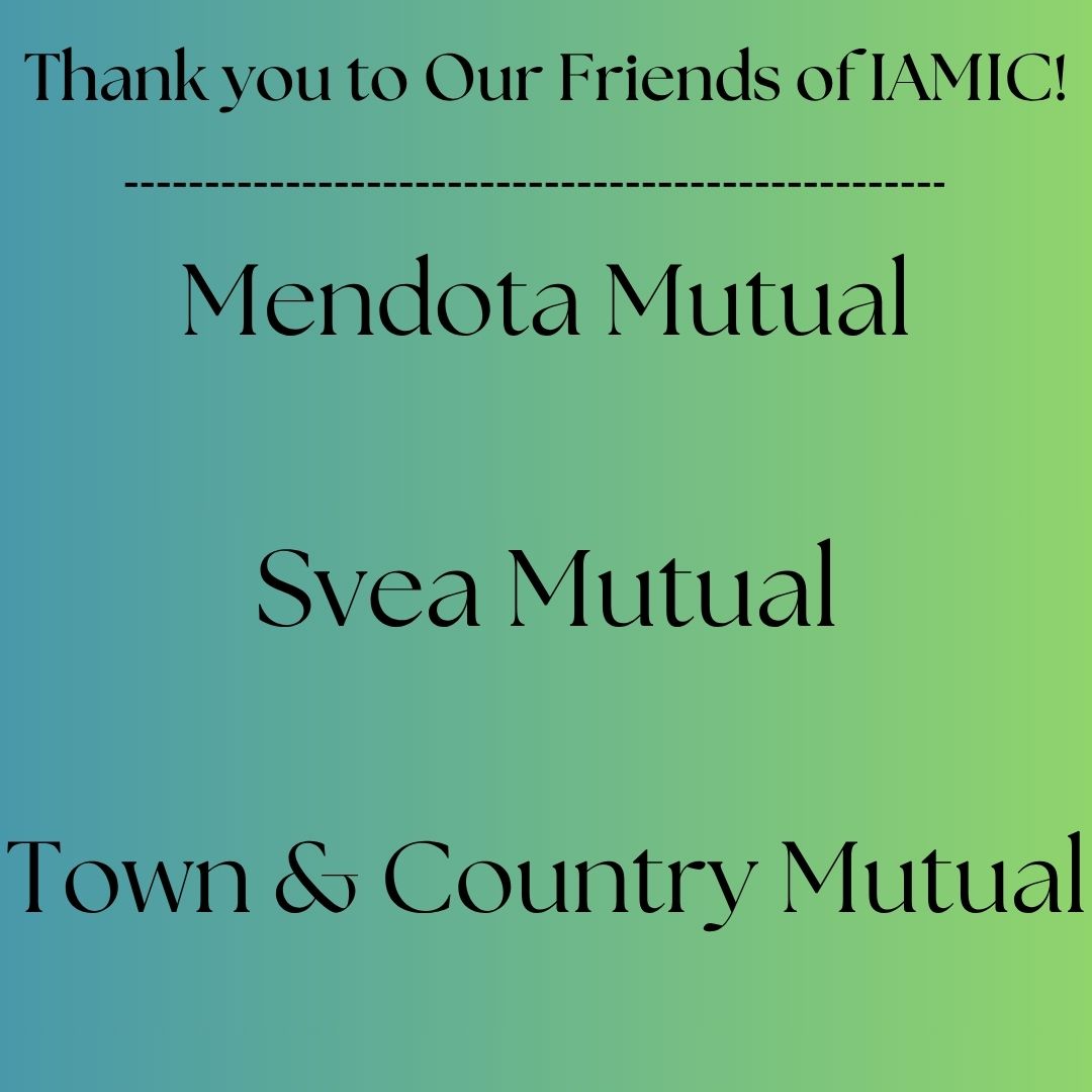 Friends of IAMIC
