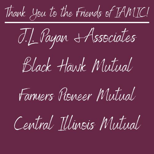 2023 Friends of IAMIC
