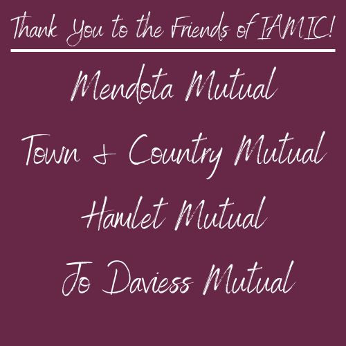 2023 Friends of IAMIC